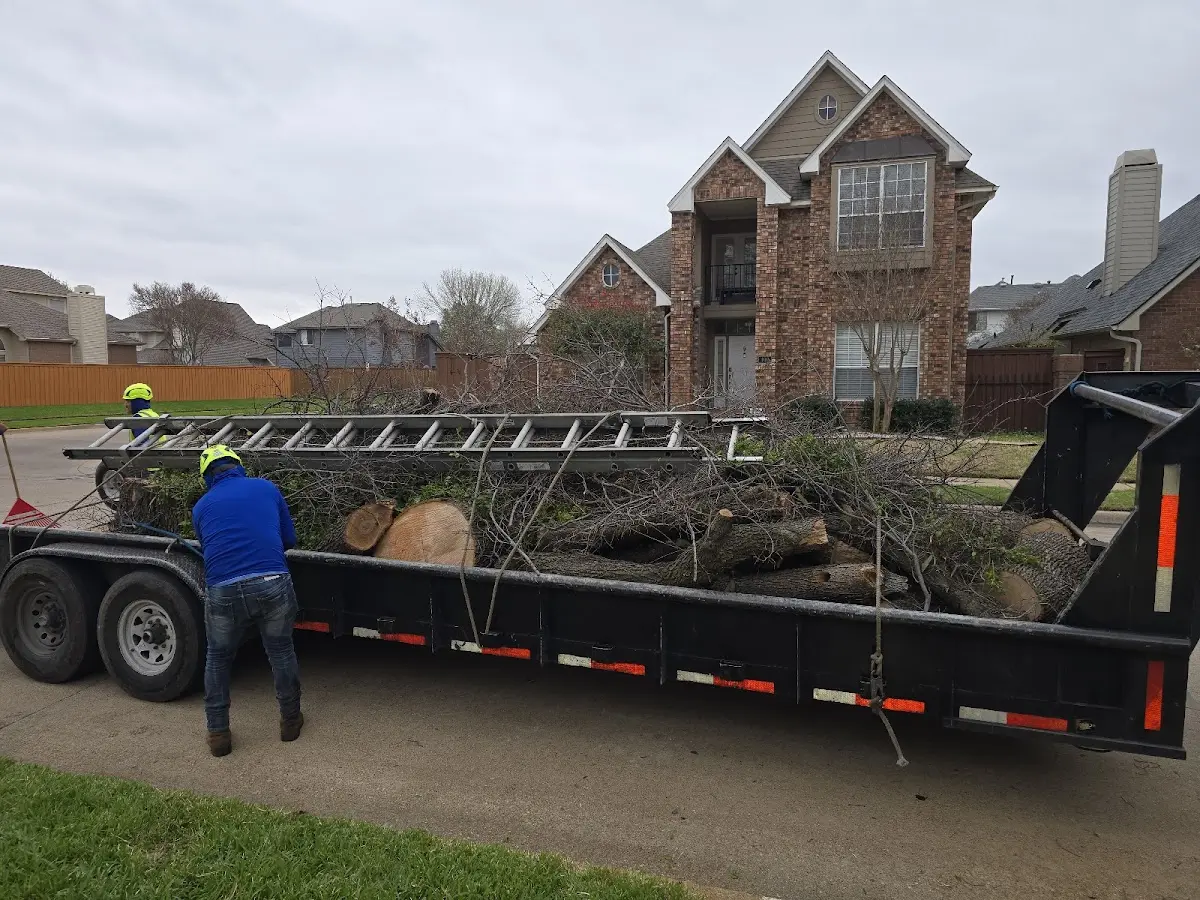 Expert Tree Fertilization with proper safety equipment in Milner